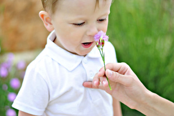 The little boy on a clearing with a flower