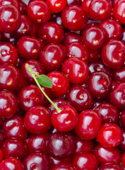 Ripe cherries