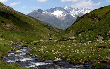 Fototapeta na wymiar Torrent, Pyrénées