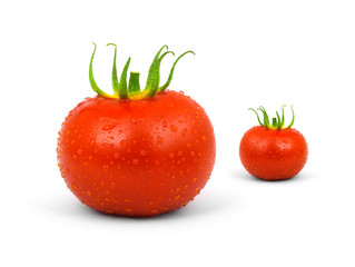 Tomato