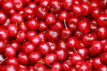 cherry selection