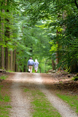 Fototapeta na wymiar Elderly couple walking in forest