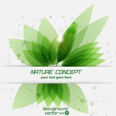 Nature background. Abstract  leaves background. Vector eps 10
