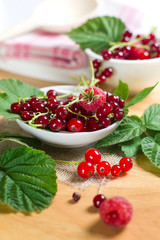 Red currant and raspberry on the glass bowl