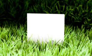 carton blanc sur herbe verte