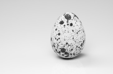 Standing Quail Egg with Copy Space (Black and White)