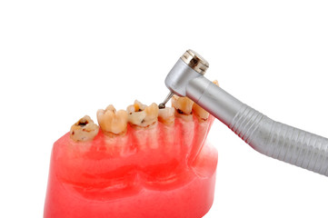jaw and dental handpiece