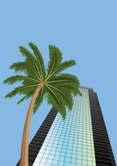 Fototapeta na wymiar Skyscraper i palma