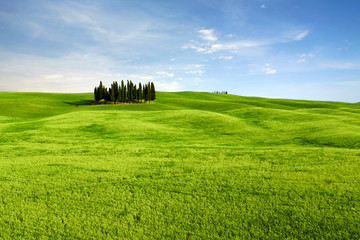 Typical landscape in Tuscany, Italy