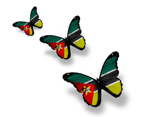 Three Mozambique flag butterflies, isolated on white