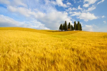 Keuken spatwand met foto Typisch landschap in Toscane © JRP Studio