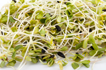 Fresh alfalfa sprouts isolated on white background