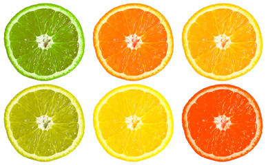 Six multicolored sliced oranges, isolated on white