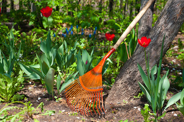 Garden flowers  rake at tree