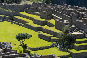 Machu-Picchu-1315
