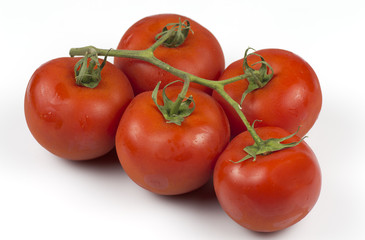 the best tomatoes in the world
