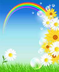 Fototapeta na wymiar Flowers with green grass and rainbow