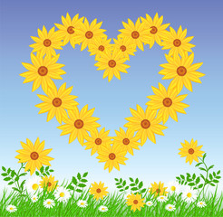 Fototapeta premium Daisy heart