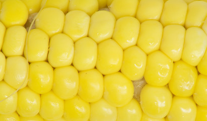 corn . macro