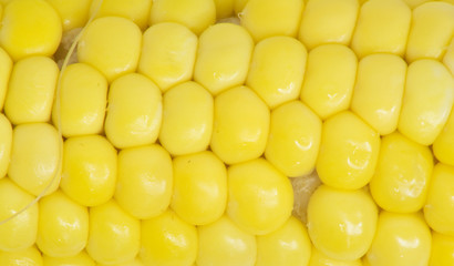 corn . macro © schankz