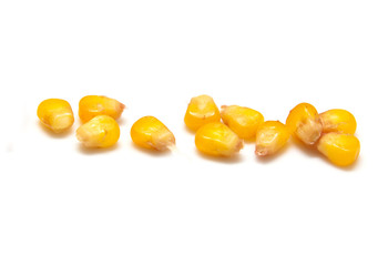 yellow corn grain on white background