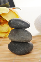 Holistic Setting with Rocks and a Flower