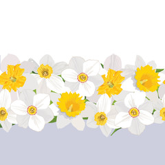 seamless pattern borde with flowers daffodils