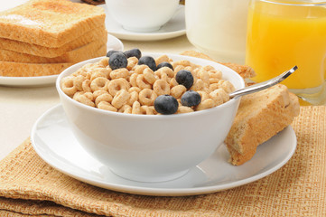 Cold cereal with blueberries