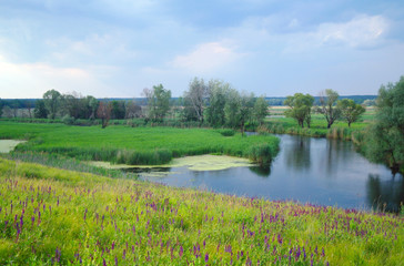 river, land with trees and meadow