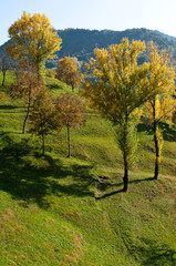 paesaggio di montagna 118
