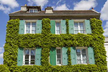 Mit Efeu bewachsenes altes Haus in Paris