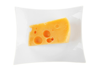 gourmet parmesan cheese  on china plate