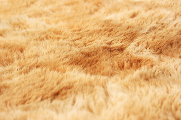 Fur background