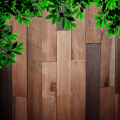 leaves with old wood background