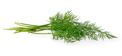 Sheaf of green dill, isolated over white background