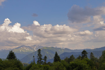 Obraz premium Majestic mountain landscapes of the Caucasian reserve