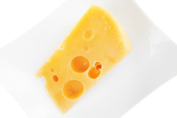gourmet parmesan cheese  on china plate