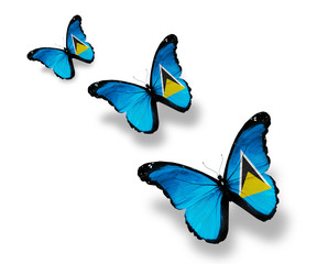 Three Saint Lucia flag butterflies, isolated on white