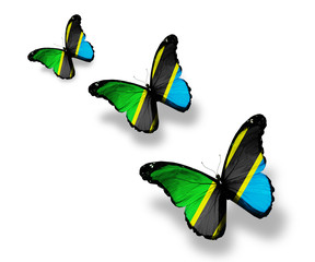 Fototapeta na wymiar Three Tanzania flag butterflies, isolated on white