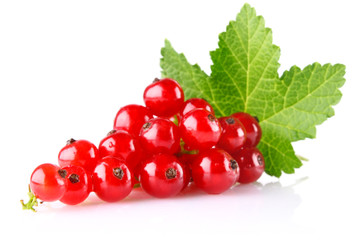 red currant with green leaf