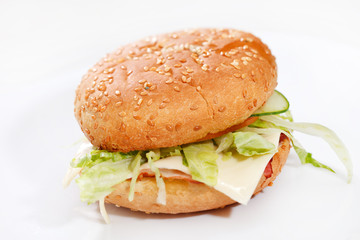 cheeseburger on the white plate