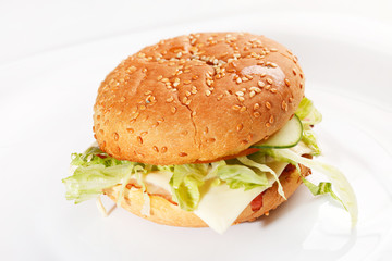 burger on the white