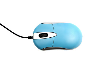 computer mouse