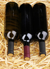 Bottles of great wine on hay