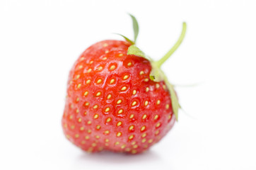 One strawberry isolated on white