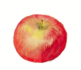 Watercolor image of red apple