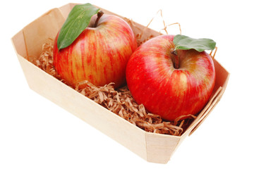 red fresh ripe twins apple