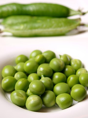 guisantes