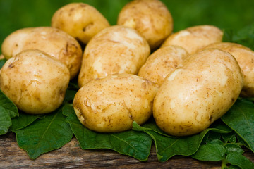 Potatoes