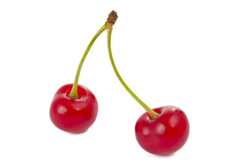 cherries isolated